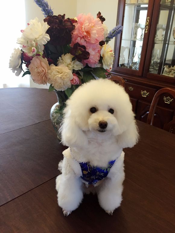 ̩��ȮΪʲô��ôɫϲ���� ��̩��Ȯ���˾�����ɫ��