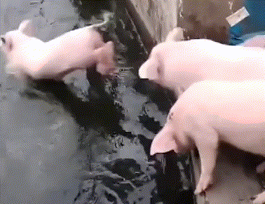 �ϲ�����ʲô��˼ ��14���������ǵ���̨��