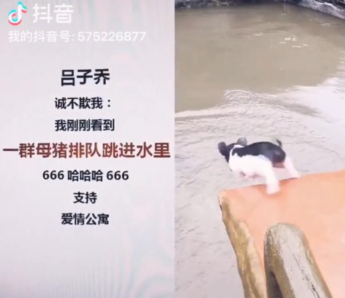 �ϲ�����ʲô��˼ ��14���������ǵ���̨��