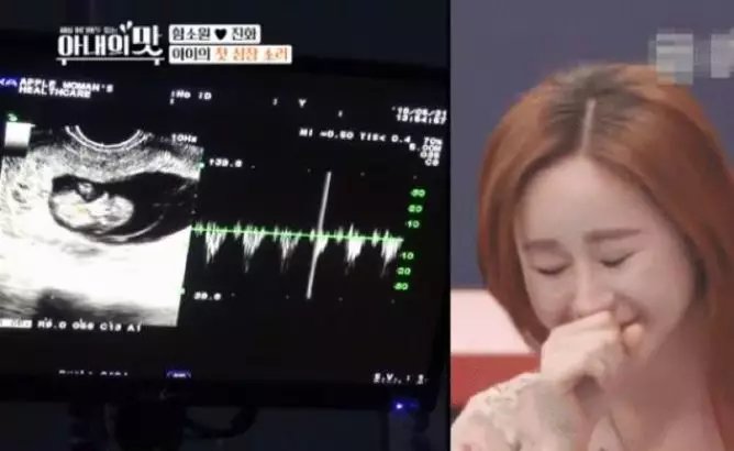 �����³»��μӵĺ������ս�ʲô �������Ƕ�����