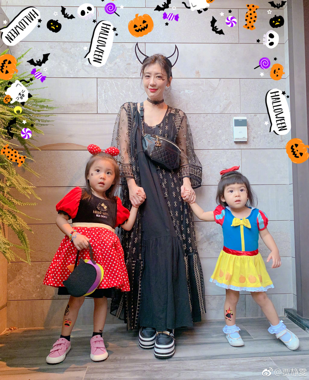 ������Ϊʲô����ͩ�� ��ͩ��Ϊʲô���Ϻ�����