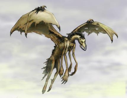 ����³��Ϊʲô��ô�ֲ� ����³���ܻ�ӭ����Ϊ���۵߸�