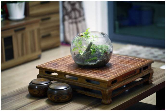 ����ţ��Ļ�ð�Ѫ���� ����ţ��Σ������Щ