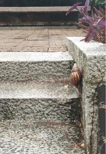 ���޴���ţ�в����� ��������������ô��