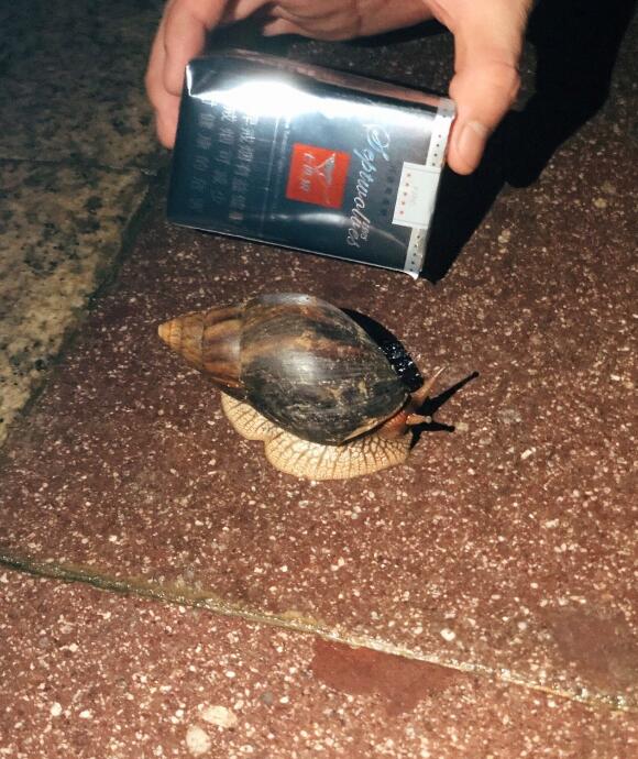 ���޴���ţ�в����� ��������������ô��