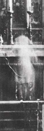 �����ֳ����� �����Ǽ�ػ������µ�ȫ����