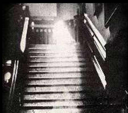 �����ֳ����� �����Ǽ�ػ������µ�ȫ����