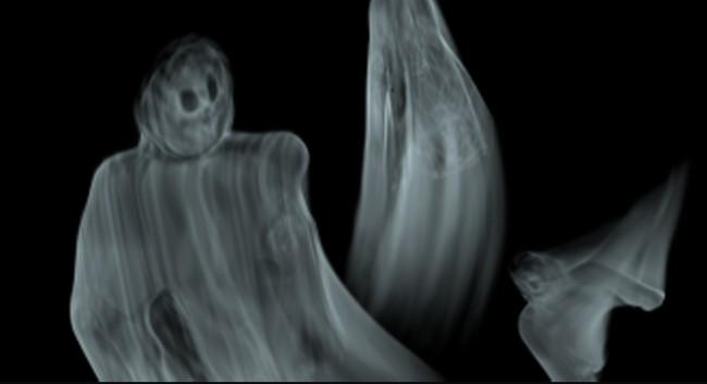 �����ֳ����� �����Ǽ�ػ������µ�ȫ����