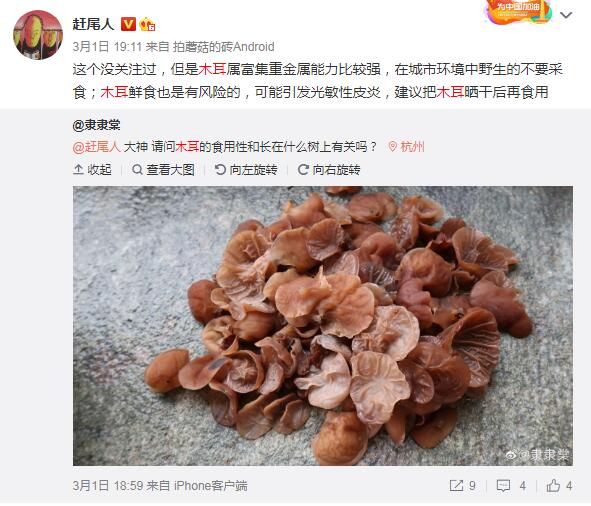 Ұ��ľ���ж����ܳ��� ����Ұ��ľ������ͼ��