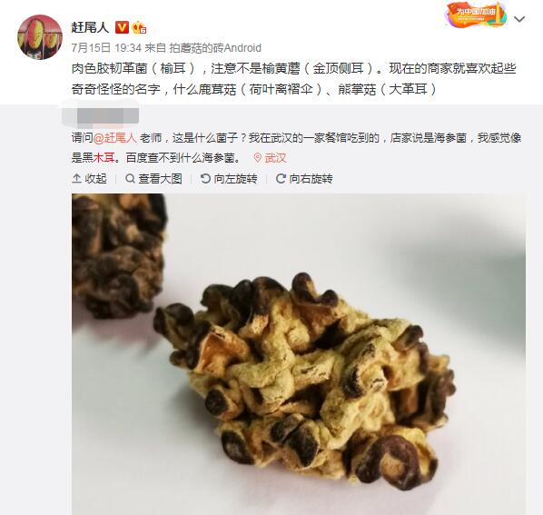 Ұ��ľ���ж����ܳ��� ����Ұ��ľ������ͼ��