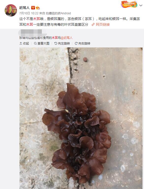 Ұ��ľ���ж����ܳ��� ����Ұ��ľ������ͼ��