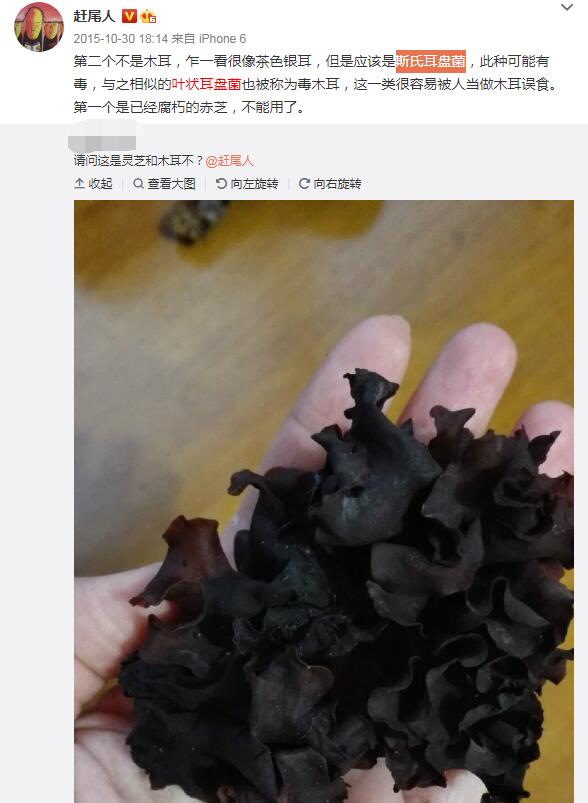 Ұ��ľ���ж����ܳ��� ����Ұ��ľ������ͼ��