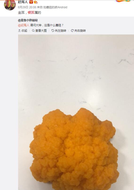 Ұ��ľ���ж����ܳ��� ����Ұ��ľ������ͼ��