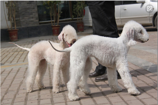 ����ٹ�ʲô��ɫ��� Ϊʲô�������������