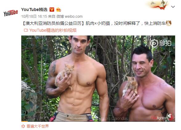 �罻��վ���͹���ʲô �͹�������������