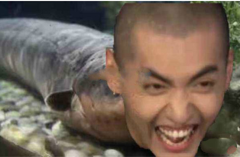 ���ෲ������ʲô��˼ Ϊʲô�е���С����