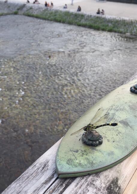 �����ѳ�ʲô���� ������Ϊʲô�й�����