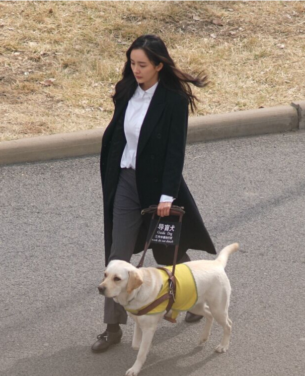 ��äȮΪʲô�������� ��äȮ��������