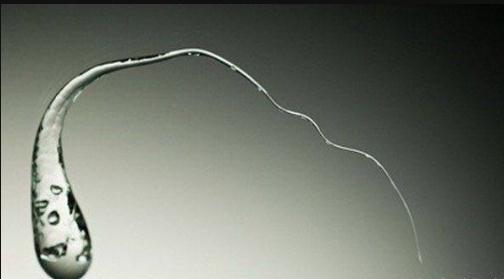 ³����֮�����Ǯһ�� ����Ӳ�ޱȵ�ԭ����ʲô