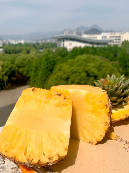 �Բ�����ʲô�� �Բ�����ʹ�ʹ��ʲôԭ��