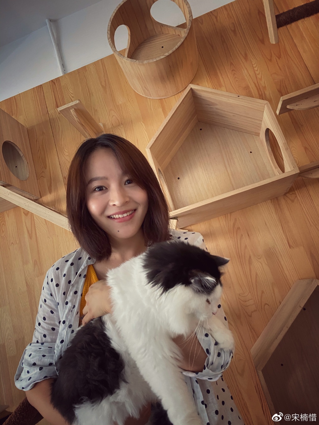 ���ϧ�ε�����ϵ ���ϧ�������ϼ��