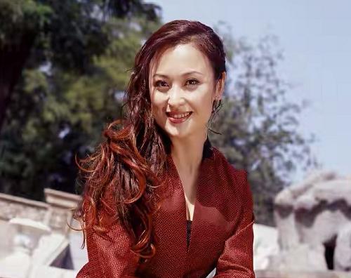 ������ǻ�Ѫ����˹Ѫͳ�� ������ʱ����Ƭ��ͼ