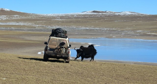 Ǽ��Ϊʲô���������� Ǽ���������ж��