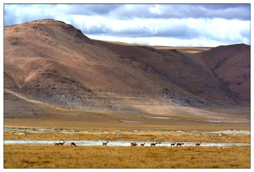 Ǽ��Ϊʲô���������� Ǽ���������ж��