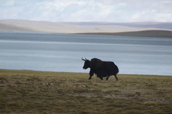 Ǽ��Ϊʲô���������� Ǽ���������ж��