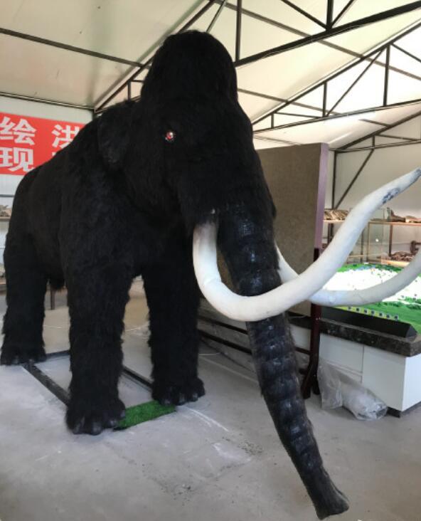 ������������������ʲô �����������