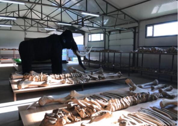 ������������������ʲô �����������