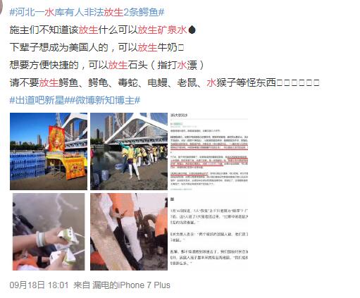 ˮϴ����ʲô�� ��ϲ��̾��ʲô��˼