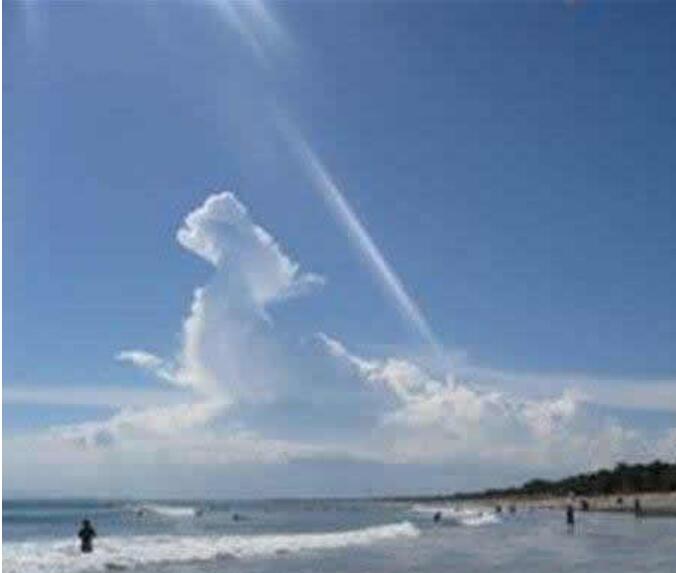 ������ʵ�ĵ�����Ƭ ������Ĵ��ڹ�