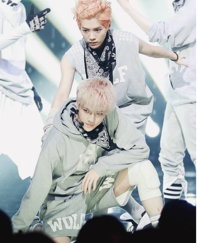 ����ѫ�������ϵ ����ѫ¹���������