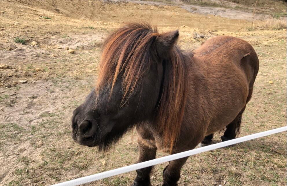 ����������Ǯһƥ �������ڼ���ô��������