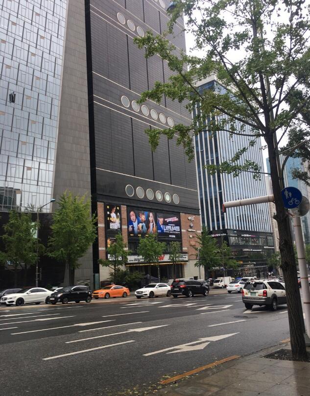 在韩国首尔清潭洞居住着很多韩国上流社会的富富豪们,商人和娱乐圈