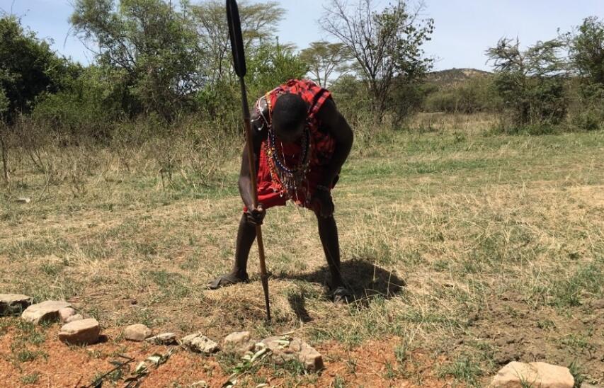 ��������Ȩ������ ����������������ʲô