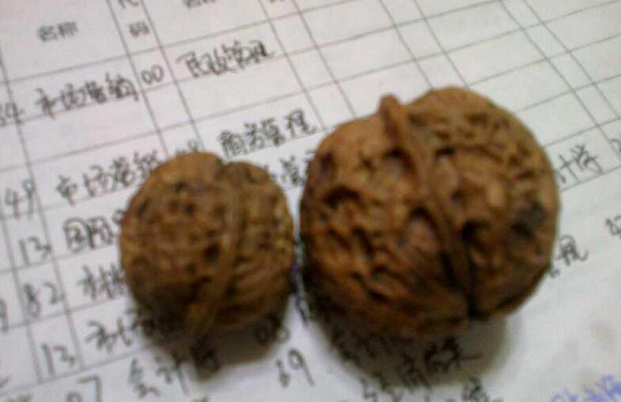 һ��һС�ĺ��������� �������������һ������ô����