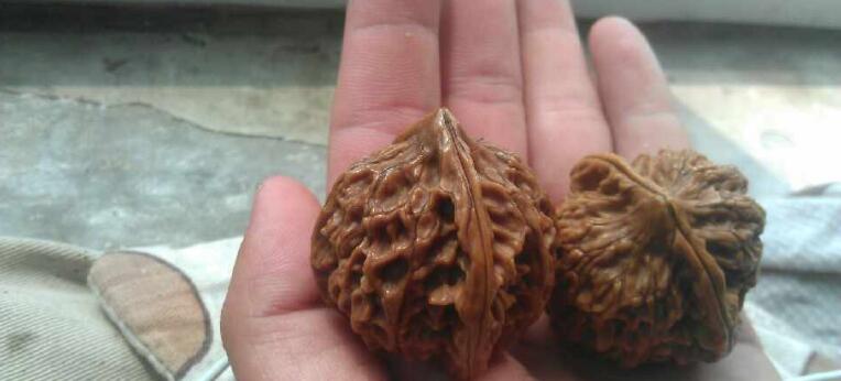 һ��һС�ĺ��������� �������������һ������ô����