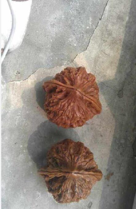 һ��һС�ĺ��������� �������������һ������ô����