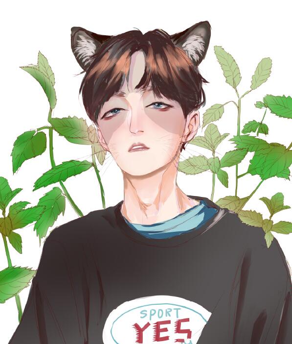 è���ɶ�è��ʲô���� �˳���è���ɻ�����