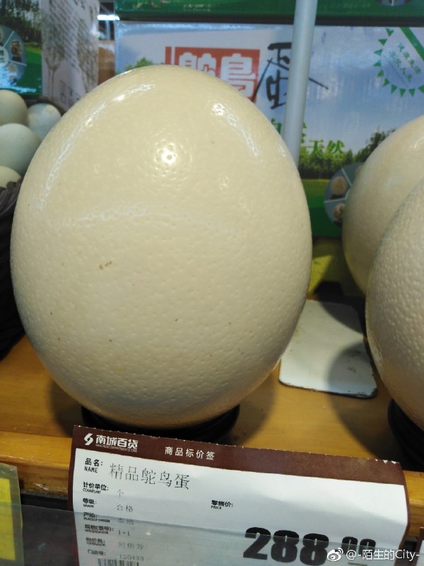 �����ж�� �������˳�����