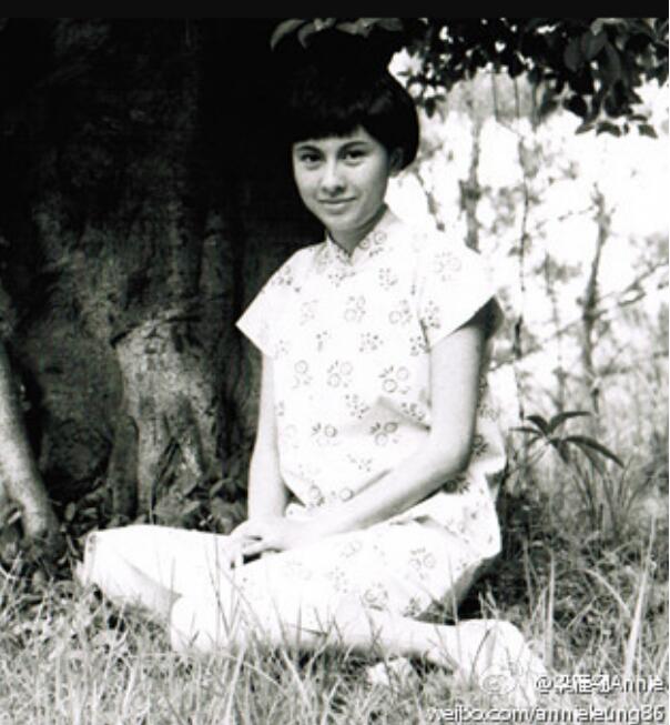 ������������ϼ�� �Ϲ���������ʱ�ڵ�����