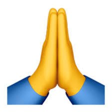 ˫�ֺ�ʮ�������ʲô��˼ �������˼�ܶ�