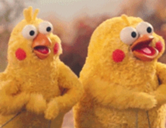 ��Ӭ�������ڸ�ʲô ������һ����Ȼ����������