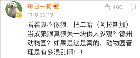 ����԰�����ֶ��� ������Ȼ����Ⱥ��Ҳ�ܻ�ÿ�