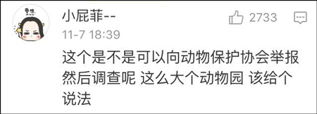 ����԰�����ֶ��� ������Ȼ����Ⱥ��Ҳ�ܻ�ÿ�