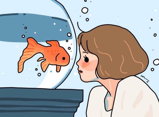 ���ʦ̫��ʲô��˼ Ů�������ʦ̫��Ҫ����������ѧ��