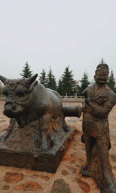 �ƺ���ţ��ʲô �ֽ��ƴ���Ԫ��ţ