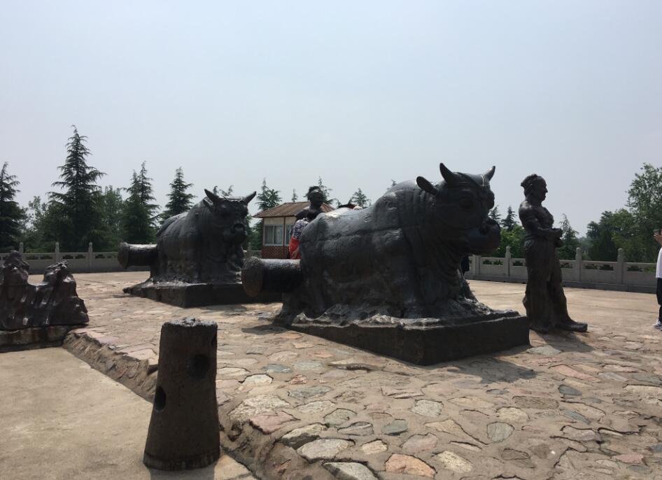 �ƺ���ţ��ʲô �ֽ��ƴ���Ԫ��ţ